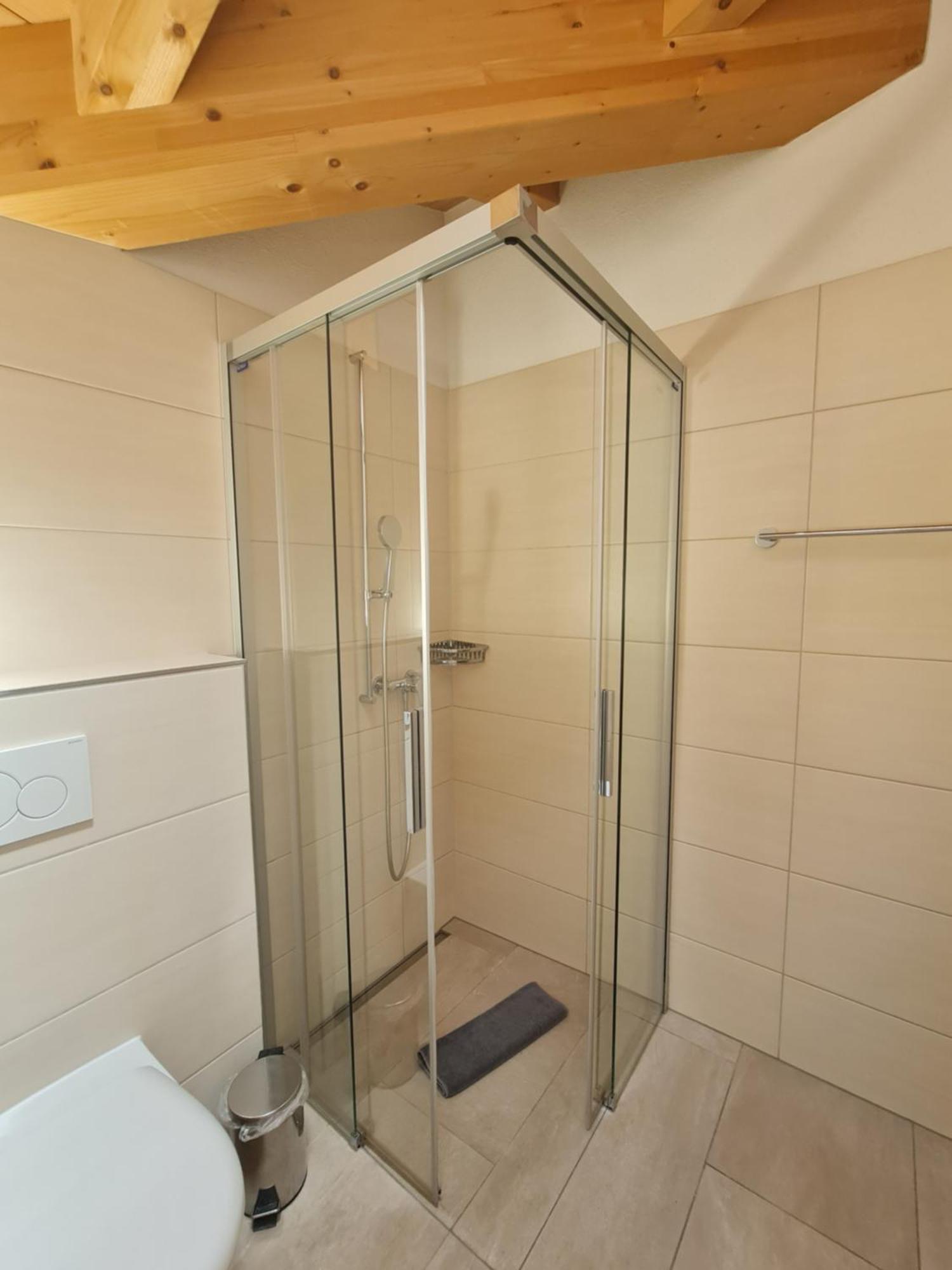 Jungfrau Penthouse - Aare Jungfrau Ag Apartment Wilderswil Bagian luar foto